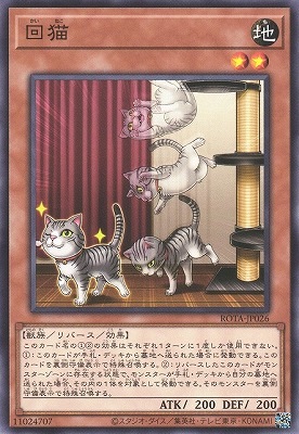 回猫 ROTA-JP026