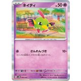 PK-SVEM-004 ネイティ