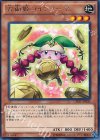 占術姫コインノーマ CPD1-JP030