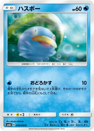 PK-SM6B-018 ハスボー C