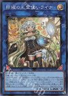 照耀の光霊使いライナ LIOV-JP049