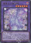 優麗なる霊鏡姫 [WPP6-JP063]
