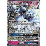 PK-SM7-025 ホエルコ C