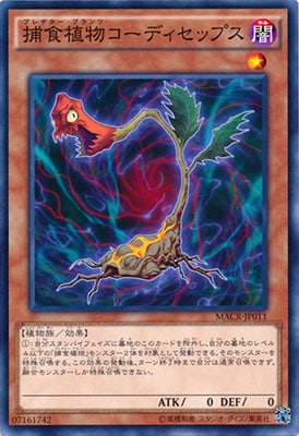 捕食植物コーディセップス MACR-JP011