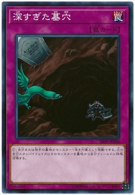 深すぎた墓穴 SR09-JP040