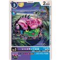 シャコモンX抗体 BT16-066