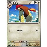 PK-SVN-005 ピジョン