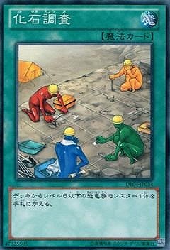 化石調査 [DE04-JP034]
