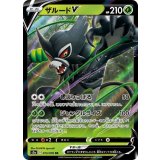 013/076 RR ザルードV