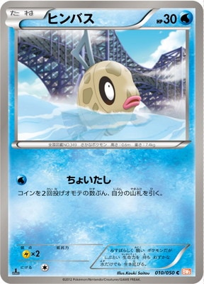 PK-BW05B-010 ヒンバス C