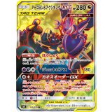 101/095 SR アーゴヨン＆アクジキングGX