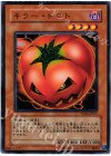 YSD3-JP017 N キラー・トマト