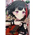 DZ-BT10/EXS06 10th anniversary Afterglow 美竹 蘭 EXS
