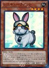 レスキューラビット [TRC1-JP020]