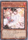 SD44-JP014 N 灰流うらら