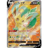 PK-S6a-070 リーフィアV SR