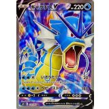 070/067 SR ギャラドスV
