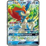 036/173 RR ケルディオGX