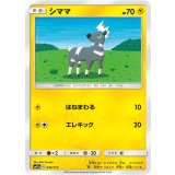PK-SM12a-045 シママ