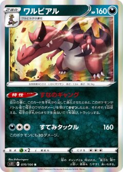 PK-S11-070 ワルビアル R