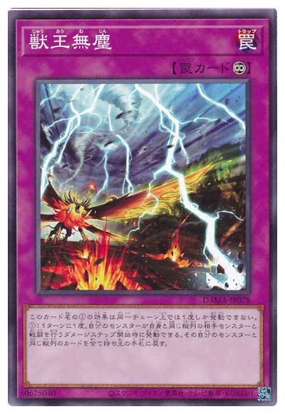 獣王無塵 DAMA-JP078