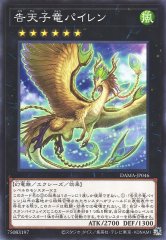 告天子竜パイレン DAMA-JP046