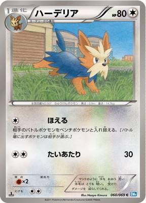 PK-BW04-060 ハーデリア C