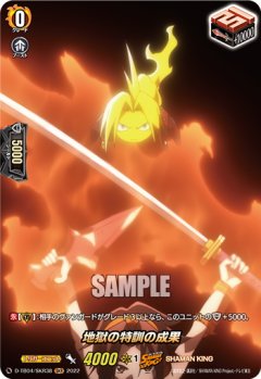 【SKR仕様(R)】地獄の特訓の成果[VG_D-TB04/SKR38SKR]