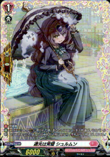 遮光は完璧 シュルムン(FR)(D-BT13/FR53)