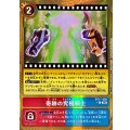奇跡の究極騎士[金枠][U/パラレル][BT17-095]