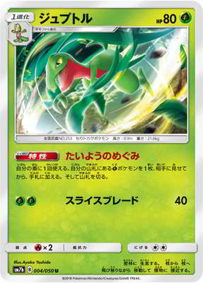 PK-SM7B-004 ジュプトル U