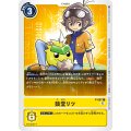 ニコ・ロビン(P)(P-087)