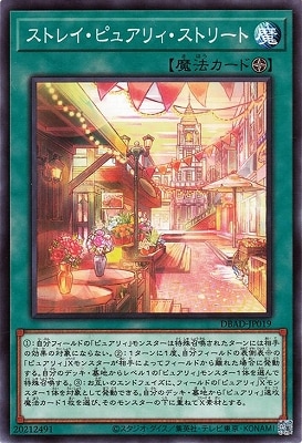 ストレイ・ピュアリィ・ストリート DBAD-JP019