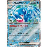 046/187 RR イルカマンex