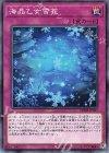 海晶乙女雪花 CHIM-JP067