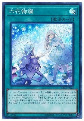 六花絢爛 DBSS-JP023