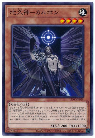 地久神-カルボン LIOV-JP028