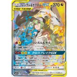 PK-SM11b-064 レシラム&ゼクロムGX SR