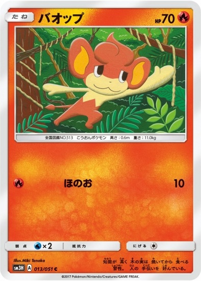 PK-SM3H-013 バオップ C