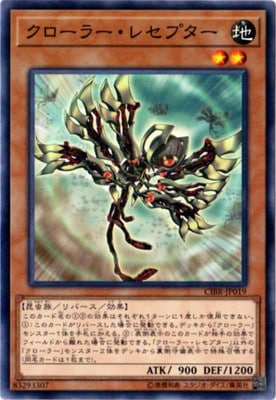 クローラー・レセプター CIBR-JP019