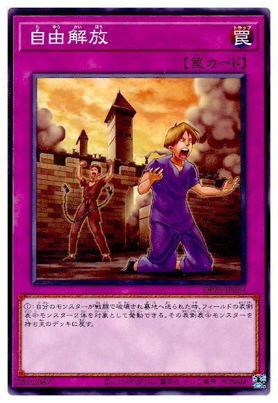 自由解放 DP25-JP033