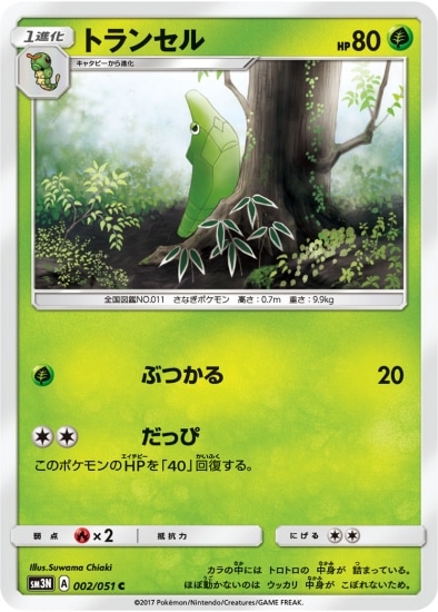 PK-SM3N-002 トランセル C