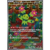 101/100 AR マラカッチ